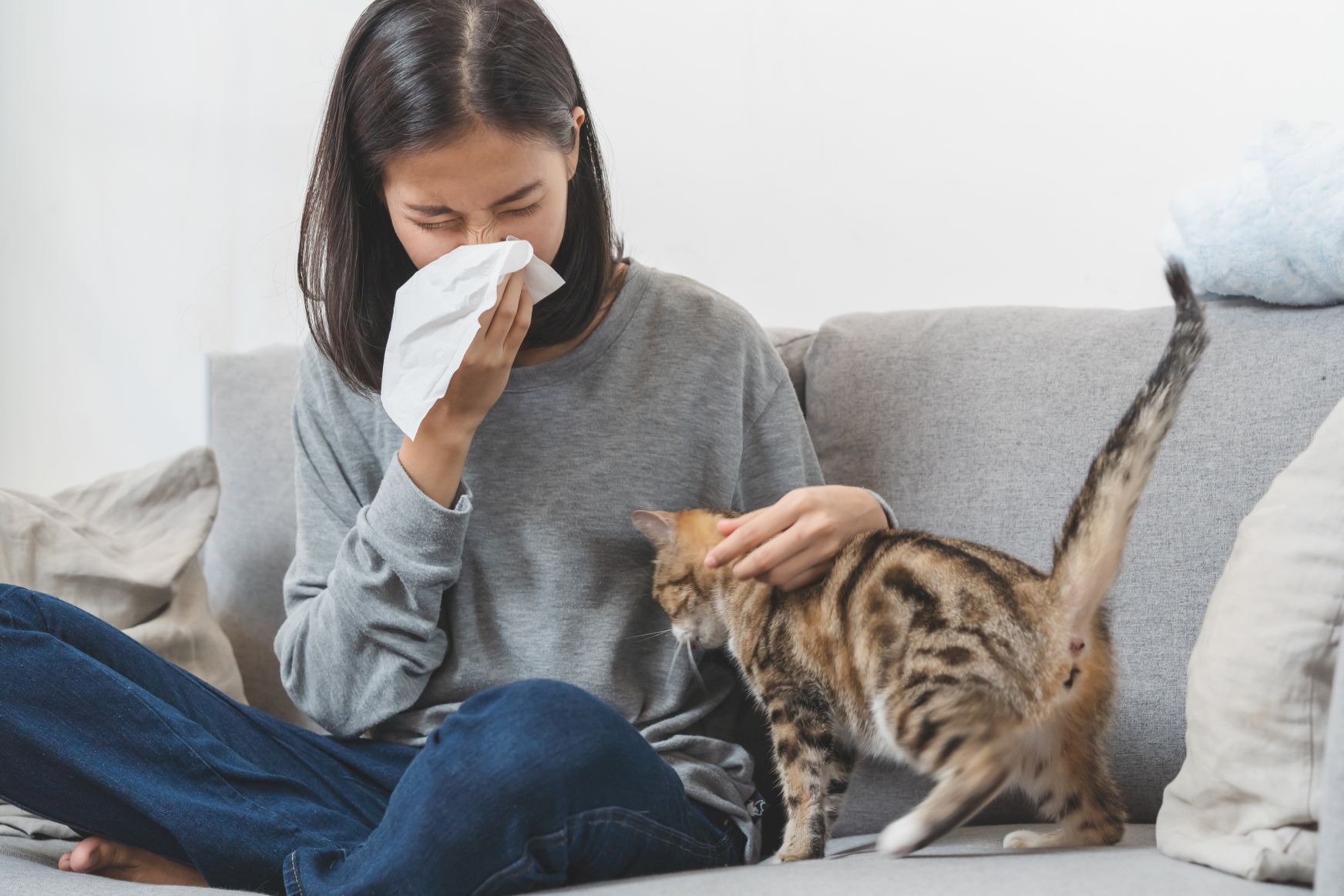 Frau-putzt-sich-die-Nase-und-hat-wahrscheinlich-eine-Katzenhaar-Allergie