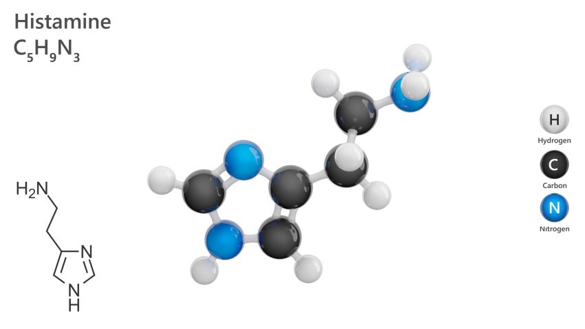 Molekül: Histamin. Stimulans der Magensekretion. Molekulare Struktur. Formel: C5H9N3. Chemisches Modell: Ball und Stock. Weißer Hintergrund. 3D-Illustration.