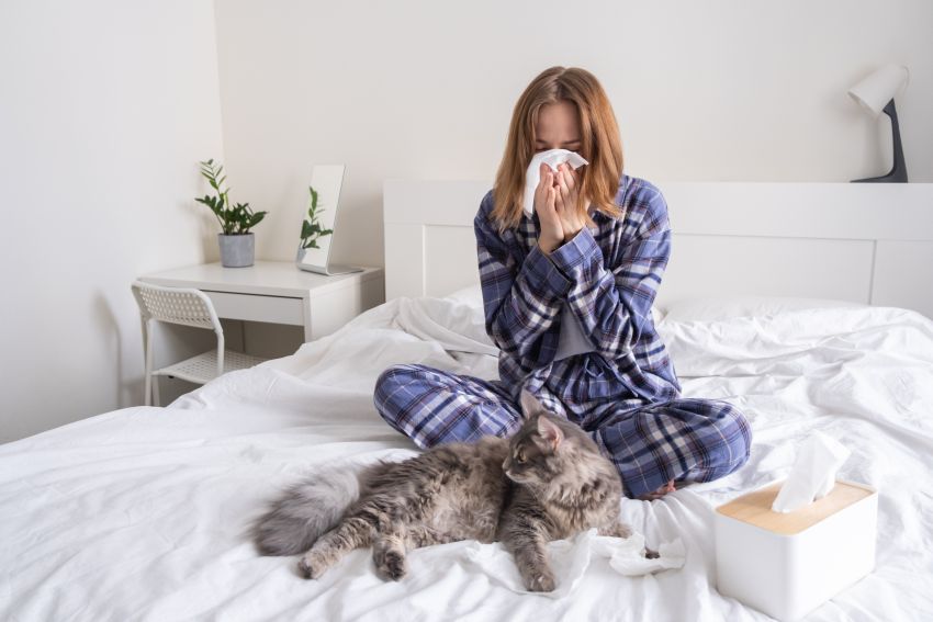 Eine junge Frau niest aufgrund einer Allergie gegen ihre Katze. Das Konzept der saisonalen Krankheit und Asthma.