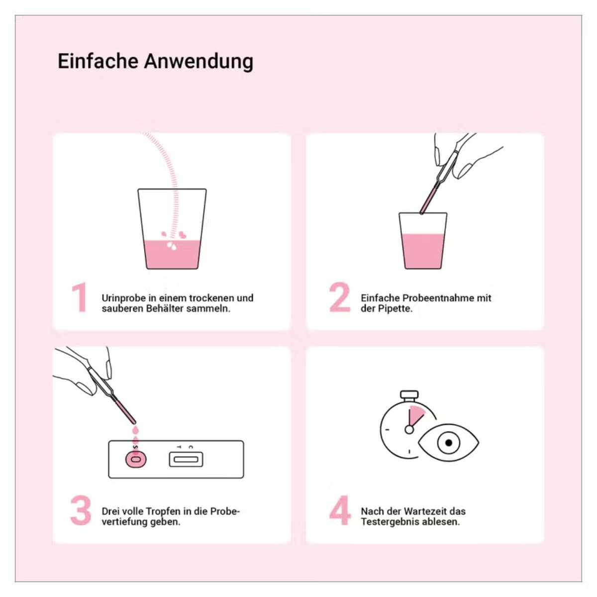 Einfache Anwendung des Schwangerschaftstests in vier Schritten: Urin sammeln, Probe mit Pipette aufnehmen, auftropfen, Ergebnis ablesen