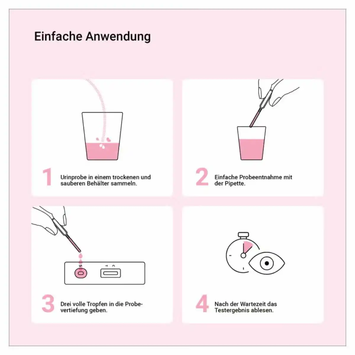 Einfache Anwendung des Schwangerschaftstests in vier Schritten: Urin sammeln, Probe mit Pipette aufnehmen, auftropfen, Ergebnis ablesen
