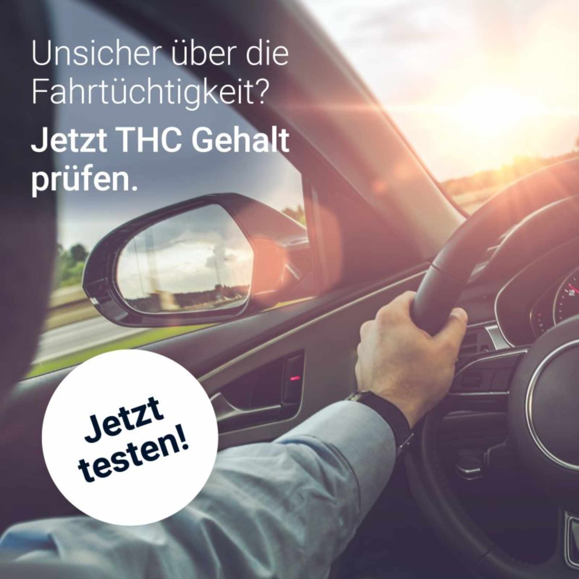 Cannabis Test ideal fr Autofahrer