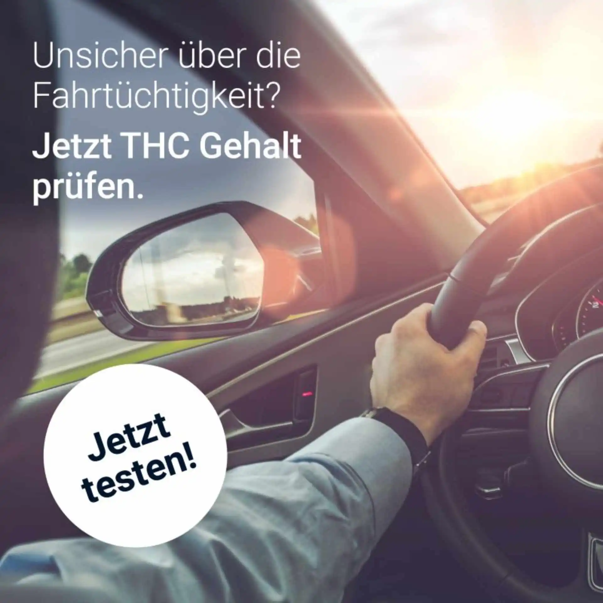 Cannabis Test ideal fr Autofahrer Cannabis Test ideal fr Autofahrer