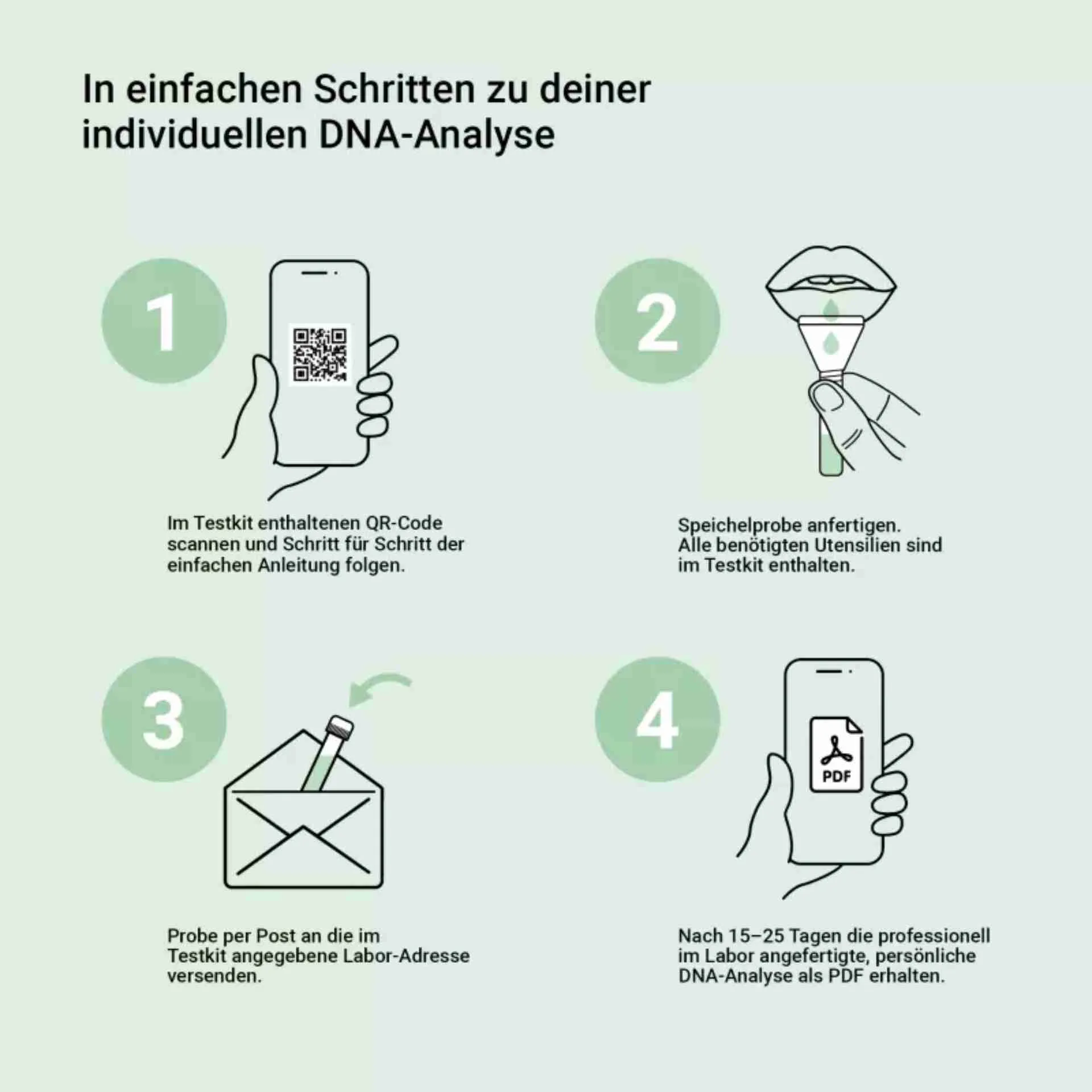 Better Health DNA-Test Anleitung: QR-Code scannen, Speichelprobe entnehmen, Probe ans Labor senden, PDF erhalten