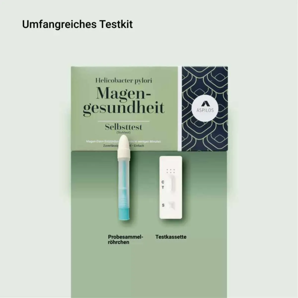 Lieferumfang des Helicobacter pylori Magengesundheit Selbsttests für Zuhause